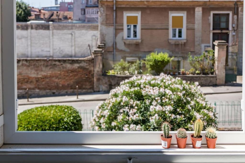 Quirky Apartment Arena With Parking Pula Exterior foto